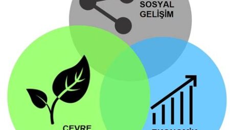 Sürdürülebilirlik ve İş Dünyası: Çevresel ve Sosyal Sorumlulukların Rolü